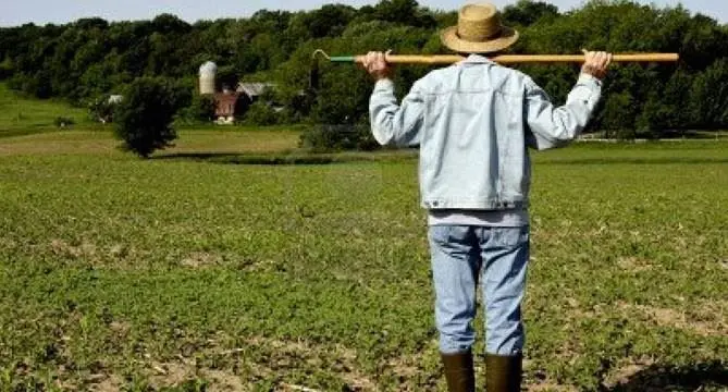 Il villaggio del contadino della Coldiretti ottiene consensi