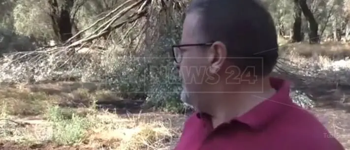 Oltre 300 danneggiamenti in 20 anni, testimone di giustizia ancora nel mirino del clan Alvaro