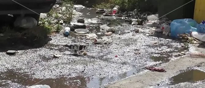 Fogne come fiumare a viale Isonzo, i residenti: «Qui non c'è legge»