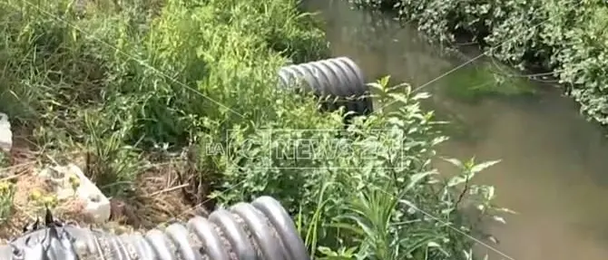 Se ad immettere scarichi fognari nel Mesima sono Comune e Città metropolitana