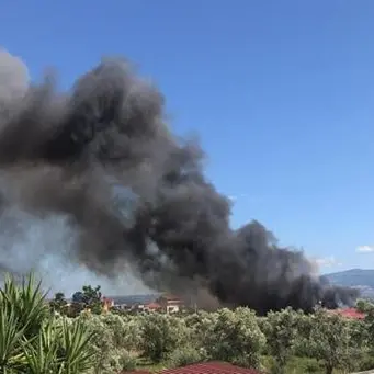 Nuovi roghi al campo rom di Scordovillo “avvelenano” Lamezia