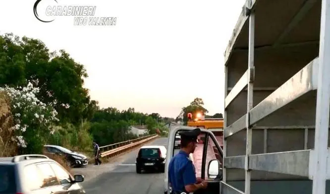 Ciclista travolto a Briatico, indagato l’autista del furgone