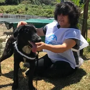Ridotta in fin di vita e abbandonata, storia a lieto fine per la cagnolina Giulia