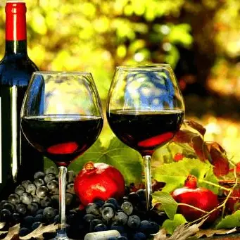 Con Vicoli diVini viaggio tra le eccellenze calabresi