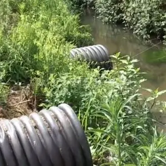 Liquami autorizzati nel fiume Mesima, il sindaco di Nicotera presenta un esposto