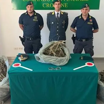 Beccati a confezionare 13 chili di marijuana: due arresti nel Crotonese