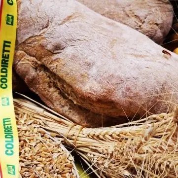 Pane e prodotti da forno a chilometro zero, protocollo d’intesa a Reggio