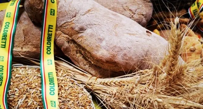 Pane e prodotti da forno a chilometro zero, protocollo d’intesa a Reggio