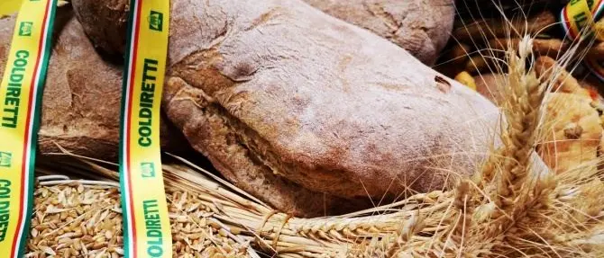 Pane e prodotti da forno a chilometro zero, protocollo d’intesa a Reggio