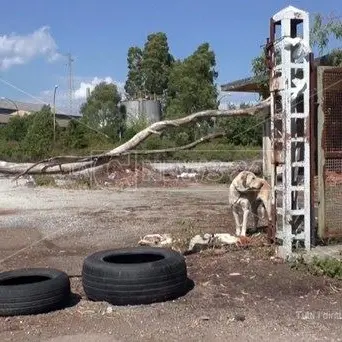 Traffici illeciti nell’opificio abbandonato di Sant’Eufemia Lamezia?