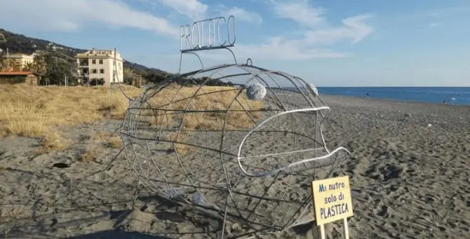 Sulla spiaggia di Longobardi arriva il pesce mangia plastica