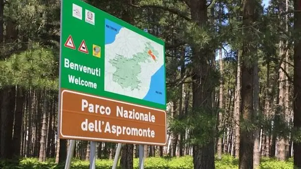 Aspromonte, sentieri e natura\u00A0conquistano sempre più\u00A0turisti (ma aumentano i rischi per gli escursionisti improvvisati)\n