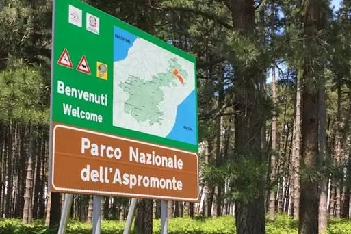 Aspromonte, sentieri e natura\u00A0conquistano sempre più\u00A0turisti (ma aumentano i rischi per gli escursionisti improvvisati)\n