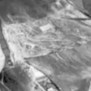 Omicidio Scopelliti, il perito: «Impossibile stabilire se il fucile sia l'arma del delitto»