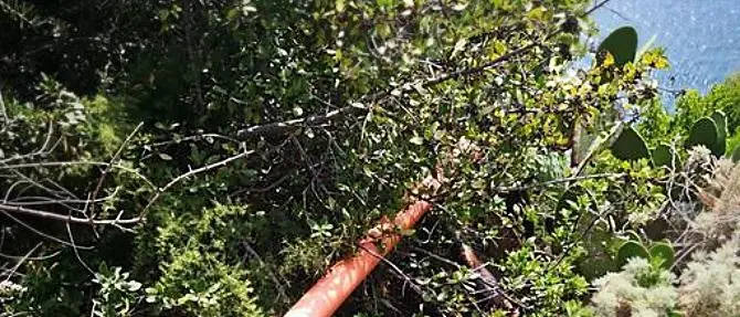 La fogna dell’hotel scarica a mare, scatta il sequestro a Palmi