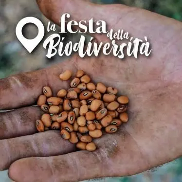 Frutta e ortaggi a rischio estinzione, a Guardavalle la Festa della Biodiversità