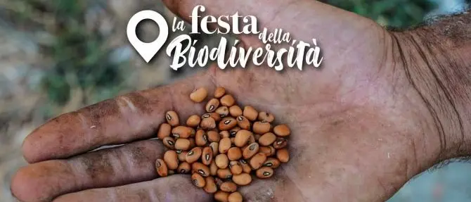 Frutta e ortaggi a rischio estinzione, a Guardavalle la Festa della Biodiversità