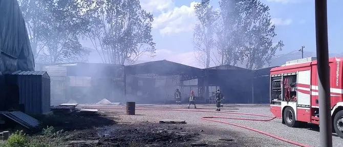 Incendi nell'alto Jonio cosentino: traffico veicolare e ferroviario in tilt