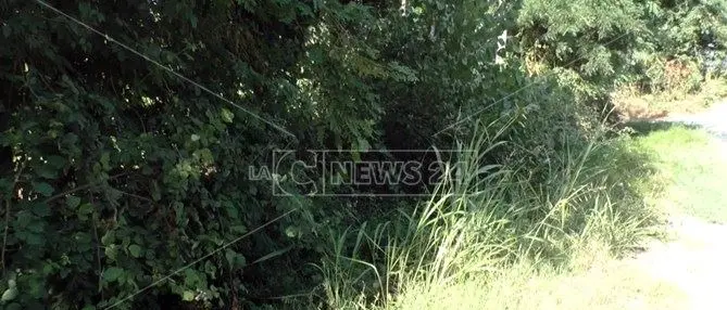 L'urlo degli imprenditori agricoli: «Da consorzi nessun servizio, ora basta»