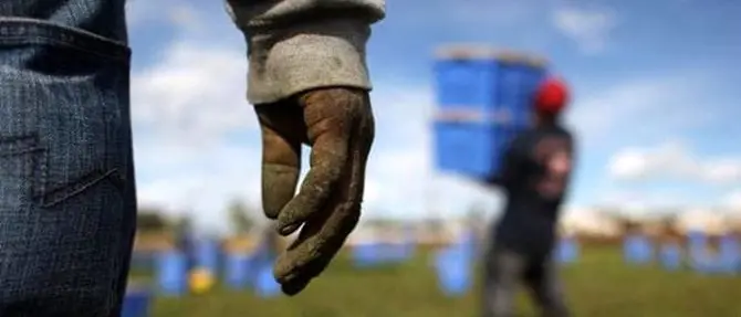 Lavoratori in nero e sottopagati, otto denunce nel Cosentino