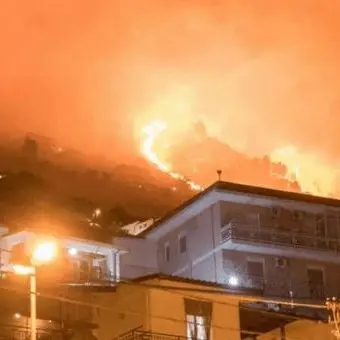 Pompieri dalla Calabria per spegnere le colline di Palermo in fiamme