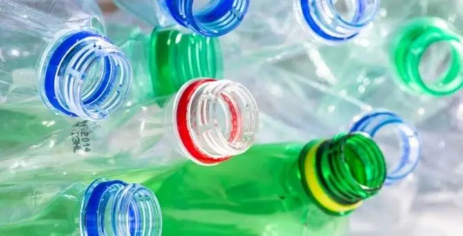 Marcellinara diventa plastic free: a scuola con le borracce termiche