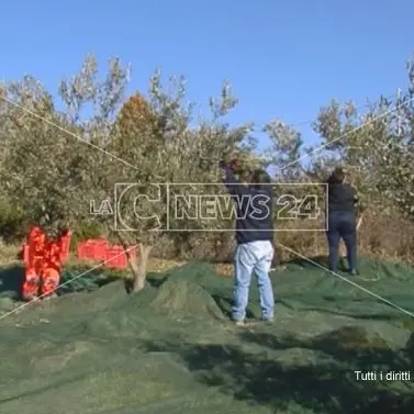 Agricoltori in protesta contro il commissariamento dei Consorzi