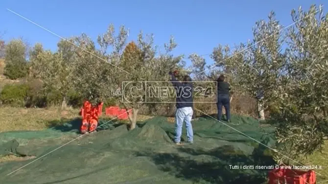 Agricoltori in protesta contro il commissariamento dei Consorzi