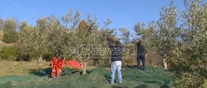 Agricoltori in protesta contro il commissariamento dei Consorzi