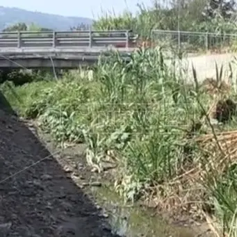 Vibo Valentia e i torrenti dell'alluvione che fanno ancora paura