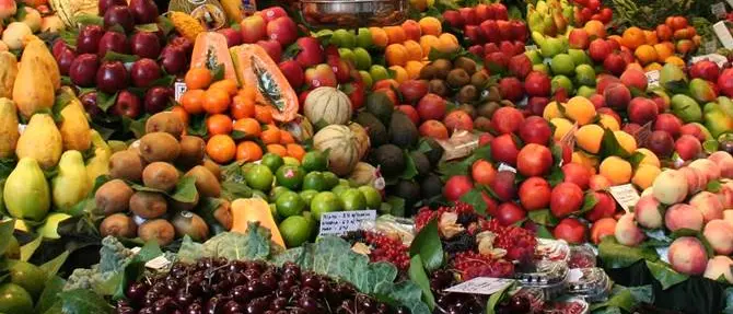 Denunciato fruttivendolo abusivo che percepiva pure il reddito di cittadinanza