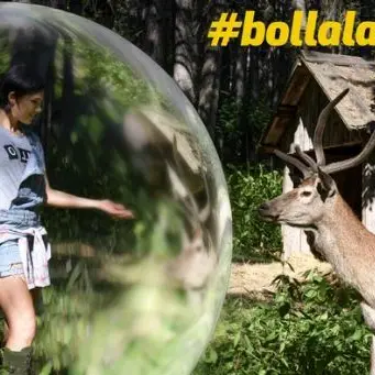 Il Parco della Sila “Bolla la plastica”, al via la campagna di sensibilizzazione
