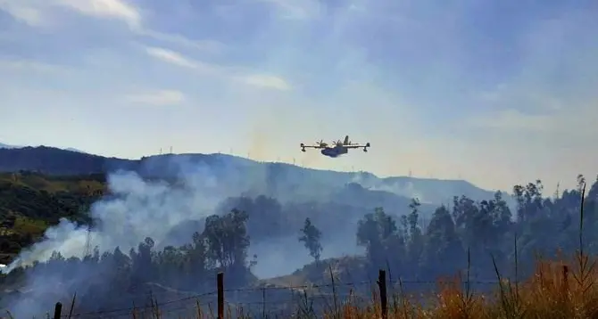 <p>Incendi in Calabria, la Regione: «<span style=\"color:hsl(0, 75%, 60%);\">Roghi in calo del 43,9% </span>nelle ultime 24 ore, aumentano le segnalazioni dei cittadini»</p>