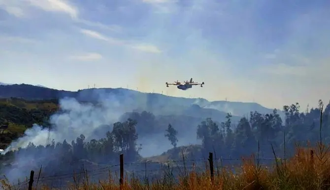Oltre 50 incendi nel Reggino, evacuate quattro abitazioni