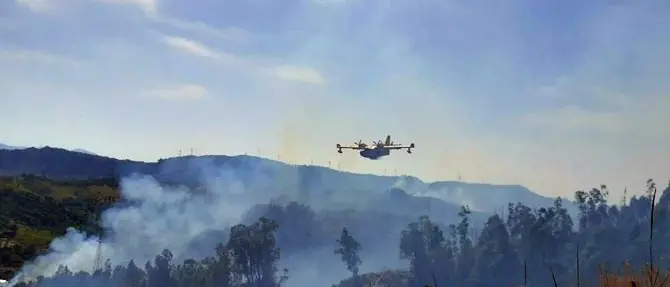 Oltre 50 incendi nel Reggino, evacuate quattro abitazioni
