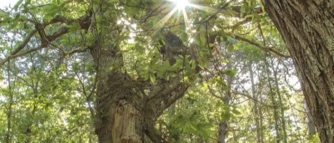 Aspromonte: identità e colori negli scatti in mostra al Castello Aragonese