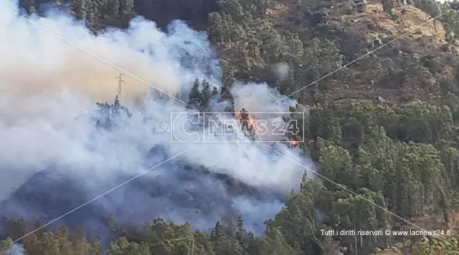 Incendio lambisce un residence a Copanello, turisti evacuati