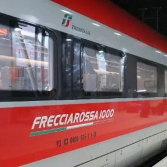 Il treno non c'è ma Gioia Tauro e Rosarno si contendono la fermata