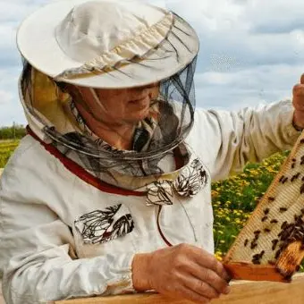 Salvaguardare la biodiversità, a Verbicaro in scena l'ApiCultura festival