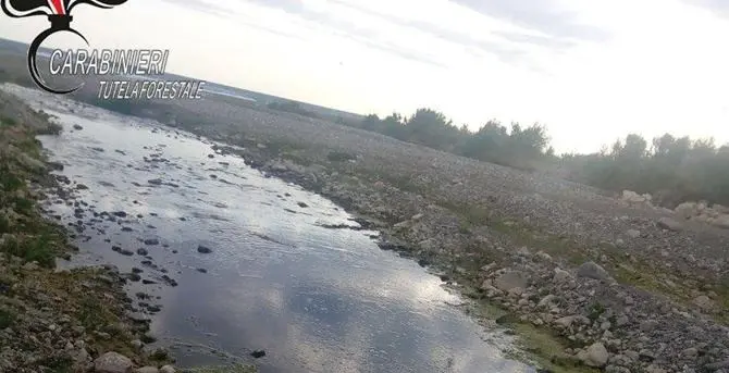 Scarichi fognari nel fiume Trionto a Crosia, scattano tre denunce