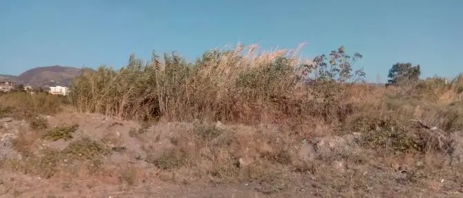 “Lordazzi di Stato”, Anas ammette l'abbandono di rifiuti e sanziona i dipendenti