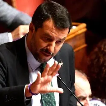 Salvini scopre di non essere in un reality e va a sbattere come Schettino