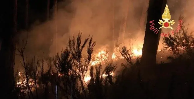 Notte di incendi nel Catanzarese, panico tra i residenti