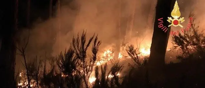 Notte di incendi nel Catanzarese, panico tra i residenti