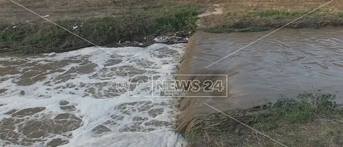 Liquami in mare senza trattamenti, denunciate sei persone