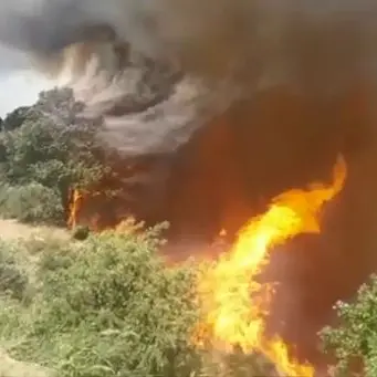 Oltre 2500 interventi, estate rovente in Calabria: incendi in aumento del 30%