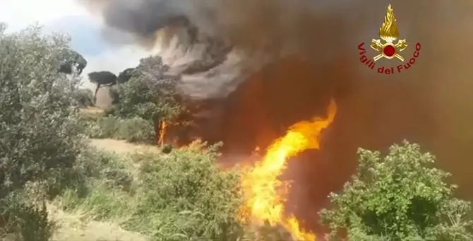 Oltre 2500 interventi, estate rovente in Calabria: incendi in aumento del 30%