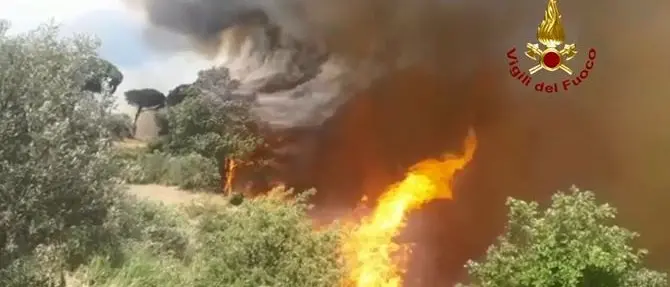 Oltre 2500 interventi, estate rovente in Calabria: incendi in aumento del 30%