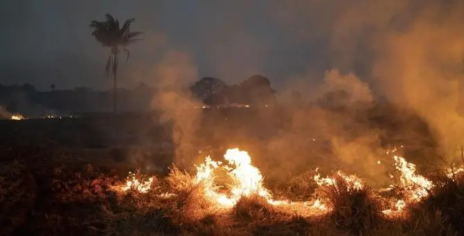 Amazzonia in fiamme, Bolsonaro: «Nella media, basta fake news»