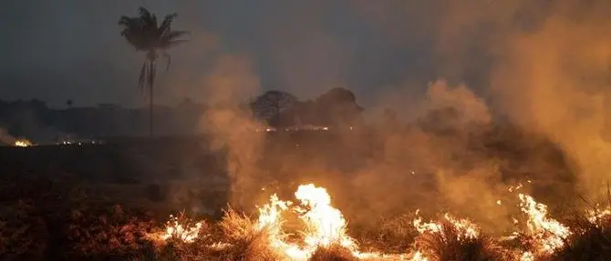 Amazzonia in fiamme, Bolsonaro: «Nella media, basta fake news»